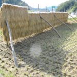 奥出雲食房のお米