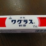 アトピーとマクロビオティック― その3